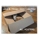 Search for cat calendars Cute kittens