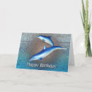 Search for dolphin birthday cards Tropical
