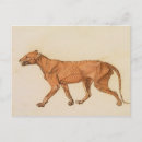 Search for later postcards From