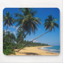 Search for johnston mouse mats Beach