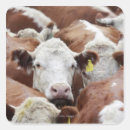 Search for full body stickers Animal body part