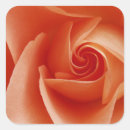 Search for lafayette stickers Flower