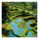 Search for vintage indonesia posters Asia
