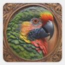 Search for rainbow lorikeet stickers Wildlife