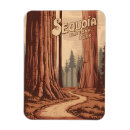 Search for sequoia national park magnets Redwood tree