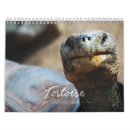 Search for tortoise calendars Galapagos