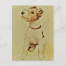 Search for dog postcards Vintage