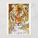 Search for snow tiger postcards Animal