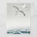 Search for seagull painting postcards Bird