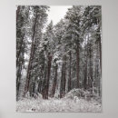 Search for tall posters Serene