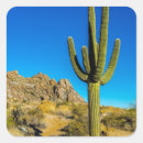 Search for sonoran desert stickers Arizona