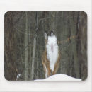 Search for butt mouse mats Home