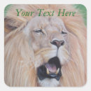 Search for african lion stickers Big cats