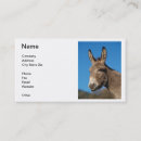 Search for farm animal business cards Donkey