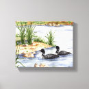 Search for waterfowl canvas prints Nature