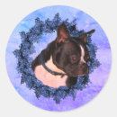 Search for boston terrier dog stickers Cute
