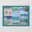 Search for dream vacation postcards Palm trees