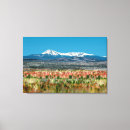 Search for baxter art Mountain