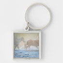 Search for running key rings Horse