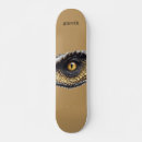 Search for eye skateboards Sports