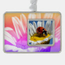 Search for macro christmas tree decorations Flower