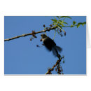 Search for hum photography Nature