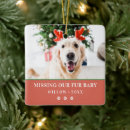 Search for pet memorial ornaments Picture