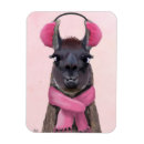 Search for llama magnets Animals