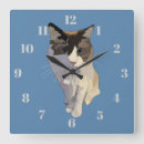 Search for ragdoll cat gifts Beautiful