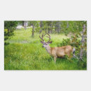 Search for big buck stickers Wildlife