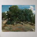 Search for oak tree posters Trees