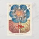 Search for caroll postcards Vintage
