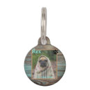 Search for animal print dog supplies Modern