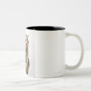 Search for coons mugs Nature