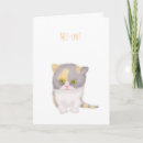 Search for grumpy cards Kitten