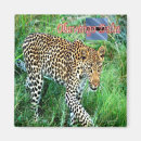 Search for botswana magnets Okavango