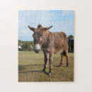 Search for new forest puzzles Animal