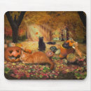 Search for pumpkin cat mouse mats October