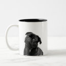 Search for black pug mugs Illustration