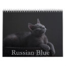 Search for russian blue Feline