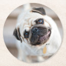 Search for pug coasters Pet
