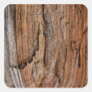 Search for splinter Rustic