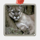 Search for cougar christmas tree decorations Puma