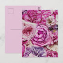 Search for white flower pattern postcards Pink