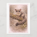 Search for glider cards invites Vintage