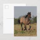 Search for bobbed postcards Flowers