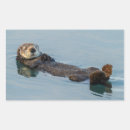 Search for ocean otter stickers California