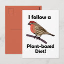 Search for finches postcards Red