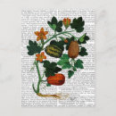 Search for squash postcards Steampunk
