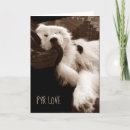 Search for pyrenees cards Dog